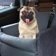 Car Seat Dog Bed Bucket | My Caring Dog – Tips, Stories, and Care Guides for Loving Pet Owners