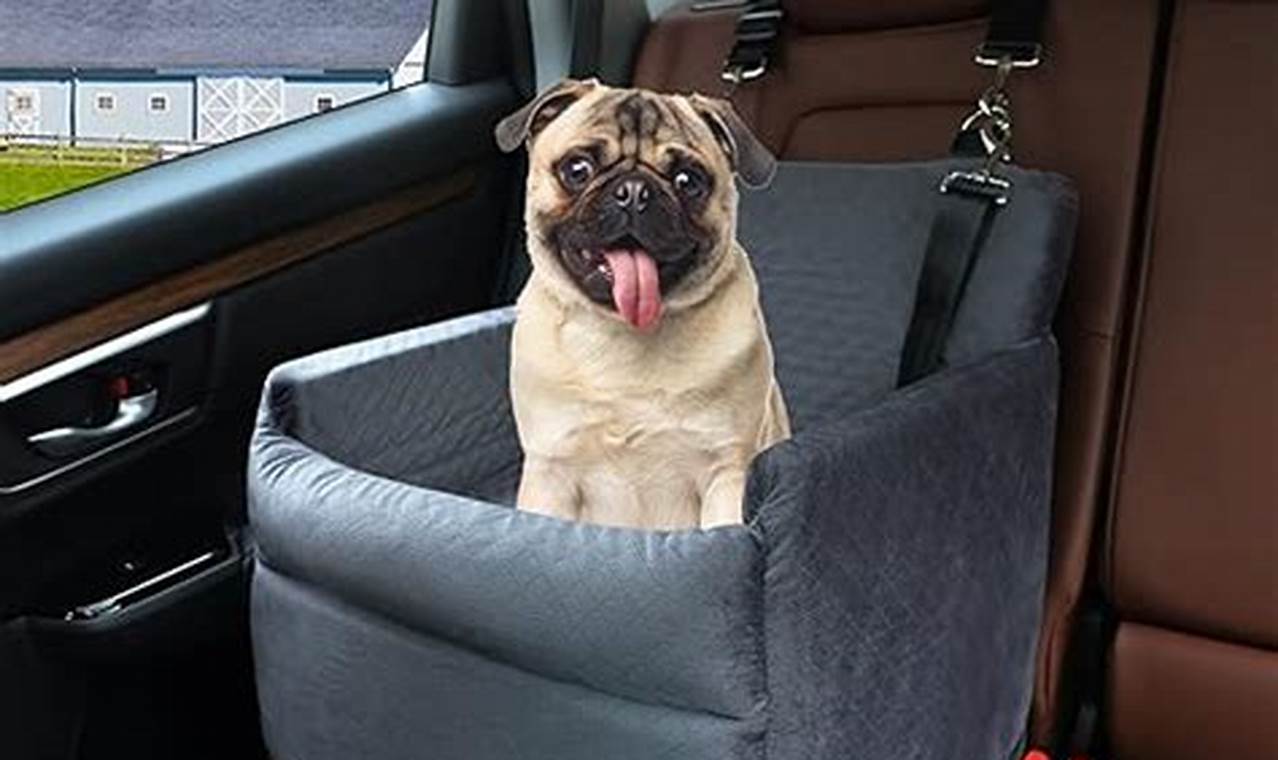 Car Seat Dog Bed Bucket | My Caring Dog – Tips, Stories, and Care Guides for Loving Pet Owners