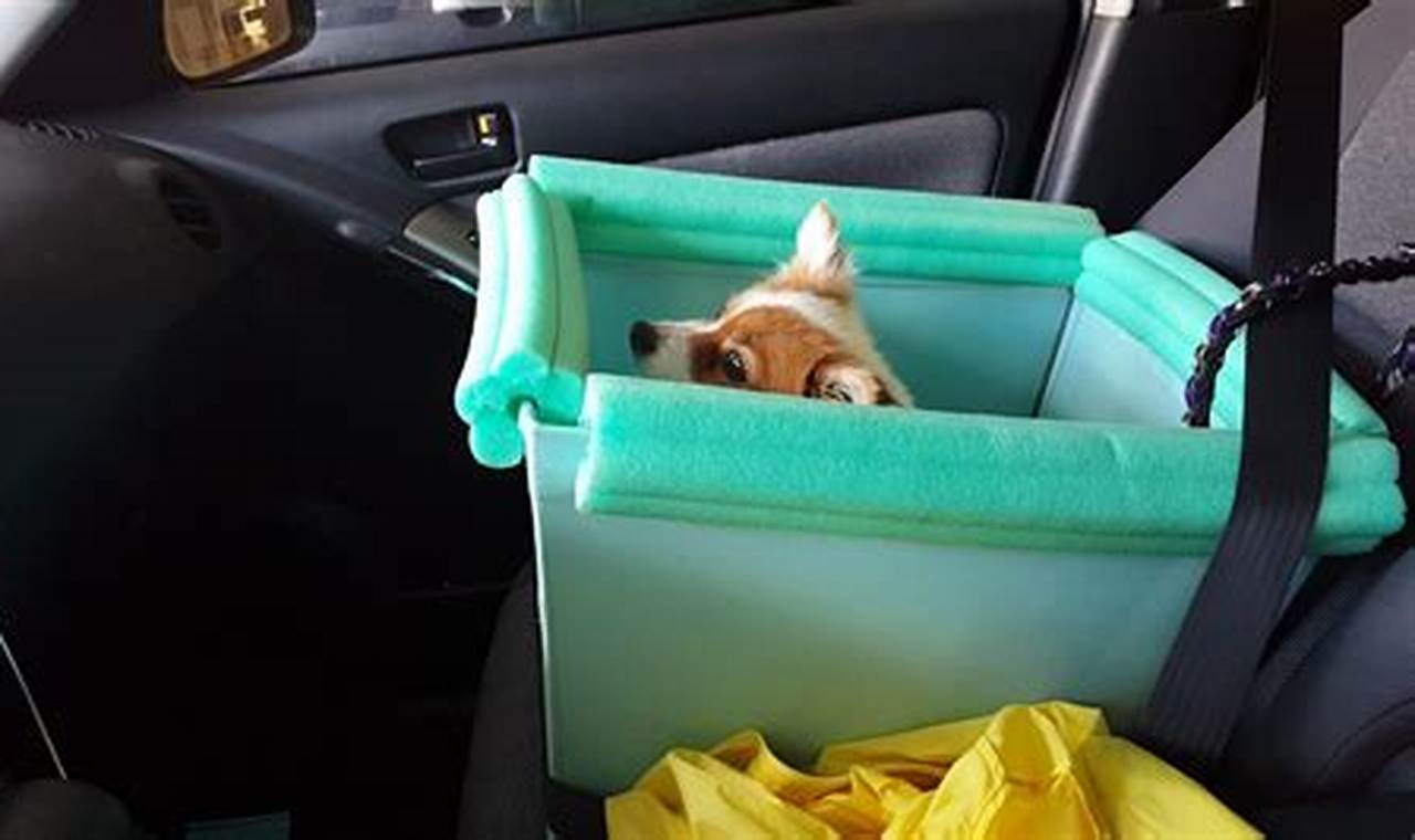 Easy DIY Dog Car Seat Laundry Basket Guide | My Caring Dog – Tips, Stories, and Care Guides for Loving Pet Owners