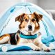 Expert Dog Concussion Care & Recovery Guide | My Caring Dog – Tips, Stories, and Care Guides for Loving Pet Owners