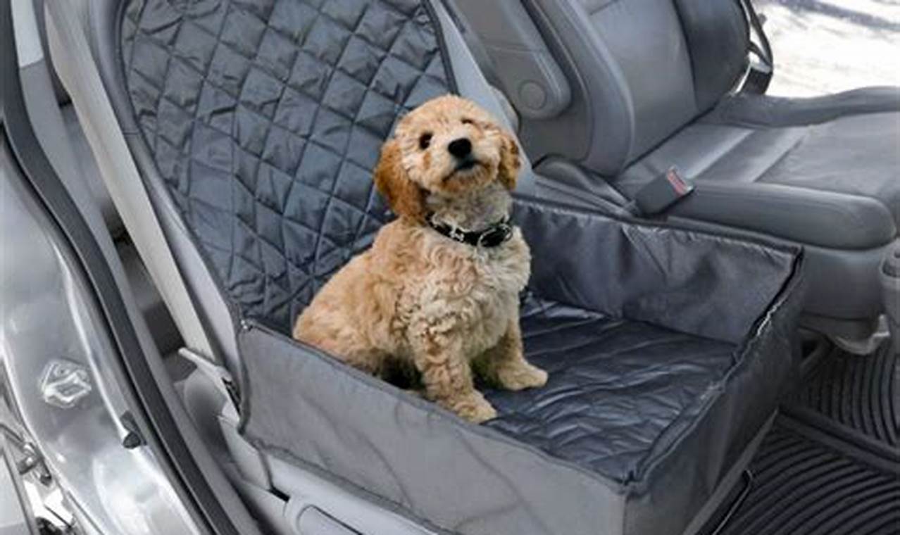 Best Car Seat Covers For Dogs: Ultimate Guide My Caring Dog – Tips, Stories, and Care Guides for Loving Pet Owners Best Car Seat Covers For Dogs: Ultimate Guide | My Caring Dog – Tips, Stories, and Care Guides for Loving Pet Owners