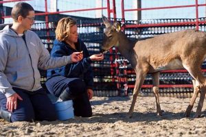 Car Dog Caretaker Salary: How Much Can You Make? My Caring Dog – Tips, Stories, and Care Guides for Loving Pet Owners Car Dog Caretaker Salary: How Much Can You Make? | My Caring Dog – Tips, Stories, and Care Guides for Loving Pet Owners