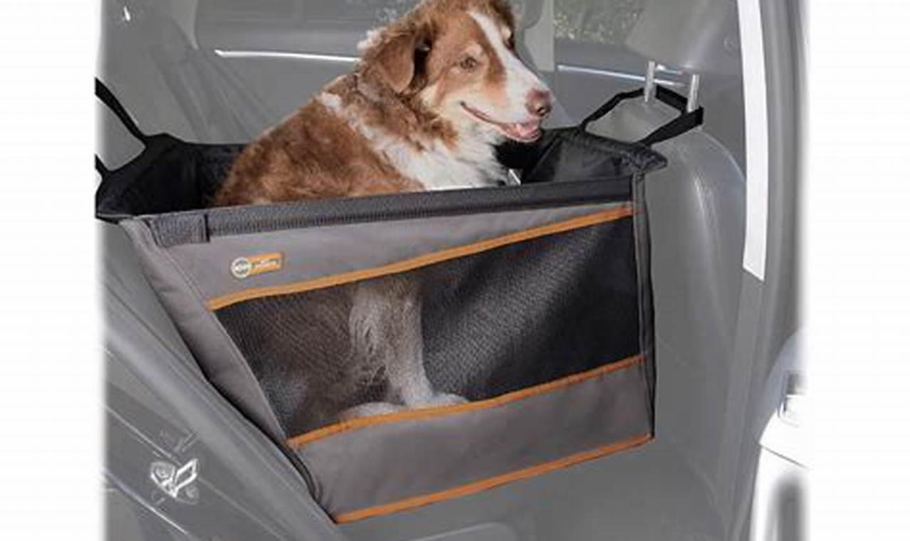 Best Buckle and Go Dog Car Seats for Safe Travel My Caring Dog – Tips, Stories, and Care Guides for Loving Pet Owners Best Buckle and Go Dog Car Seats for Safe Travel | My Caring Dog – Tips, Stories, and Care Guides for Loving Pet Owners