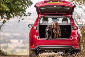 Top 5 Best Cars for Dog Owners in 2024 My Caring Dog – Tips, Stories, and Care Guides for Loving Pet Owners Top 5 Best Cars for Dog Owners in 2024 | My Caring Dog – Tips, Stories, and Care Guides for Loving Pet Owners