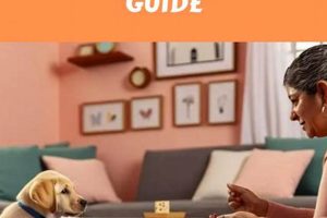 Find Your Perfect Local Puppy: Car Dog Edition My Caring Dog – Tips, Stories, and Care Guides for Loving Pet Owners Find Your Perfect Local Puppy: Car Dog Edition | My Caring Dog – Tips, Stories, and Care Guides for Loving Pet Owners
