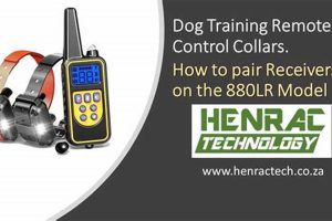 Pair Dog Training Collar: Easy Setup Guide My Caring Dog – Tips, Stories, and Care Guides for Loving Pet Owners Pair Dog Training Collar: Easy Setup Guide | My Caring Dog – Tips, Stories, and Care Guides for Loving Pet Owners