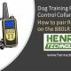 Pair Dog Training Collar: Easy Setup Guide | My Caring Dog – Tips, Stories, and Care Guides for Loving Pet Owners