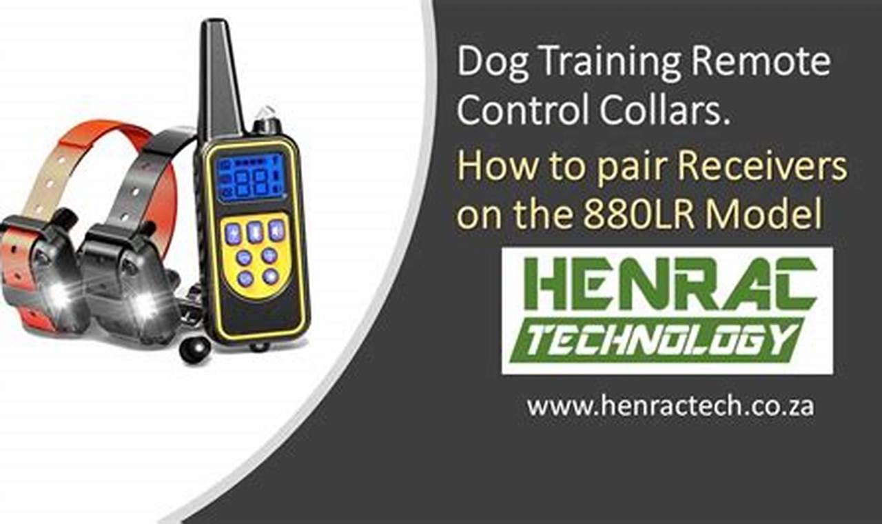 Pair Dog Training Collar: Easy Setup Guide My Caring Dog – Tips, Stories, and Care Guides for Loving Pet Owners Pair Dog Training Collar: Easy Setup Guide | My Caring Dog – Tips, Stories, and Care Guides for Loving Pet Owners
