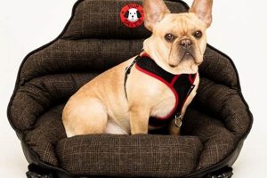Top Crash-Tested Dog Car Seats: Ultimate Guide | My Caring Dog – Tips, Stories, and Care Guides for Loving Pet Owners