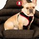 Top Crash-Tested Dog Car Seats: Ultimate Guide | My Caring Dog – Tips, Stories, and Care Guides for Loving Pet Owners