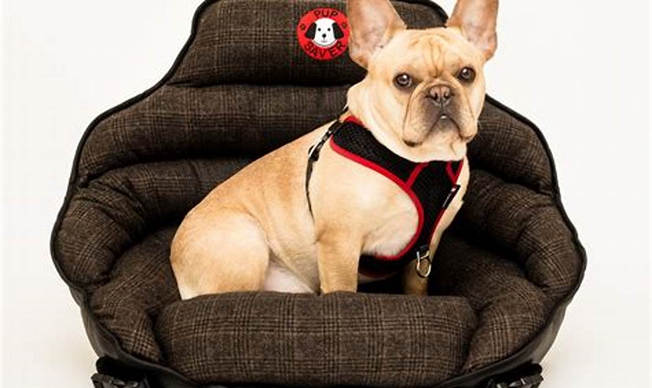 Top Crash-Tested Dog Car Seats: Ultimate Guide My Caring Dog – Tips, Stories, and Care Guides for Loving Pet Owners Top Crash-Tested Dog Car Seats: Ultimate Guide | My Caring Dog – Tips, Stories, and Care Guides for Loving Pet Owners