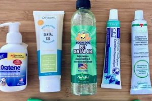 Top 5 Best Oral Care Tips for Dogs My Caring Dog – Tips, Stories, and Care Guides for Loving Pet Owners Top 5 Best Oral Care Tips for Dogs | My Caring Dog – Tips, Stories, and Care Guides for Loving Pet Owners