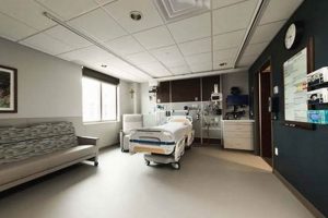 Best Care St Ideas for Dog Car Travel | My Caring Dog – Tips, Stories, and Care Guides for Loving Pet Owners