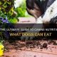 Unearthing History: Can Digs Basics | My Caring Dog – Tips, Stories, and Care Guides for Loving Pet Owners