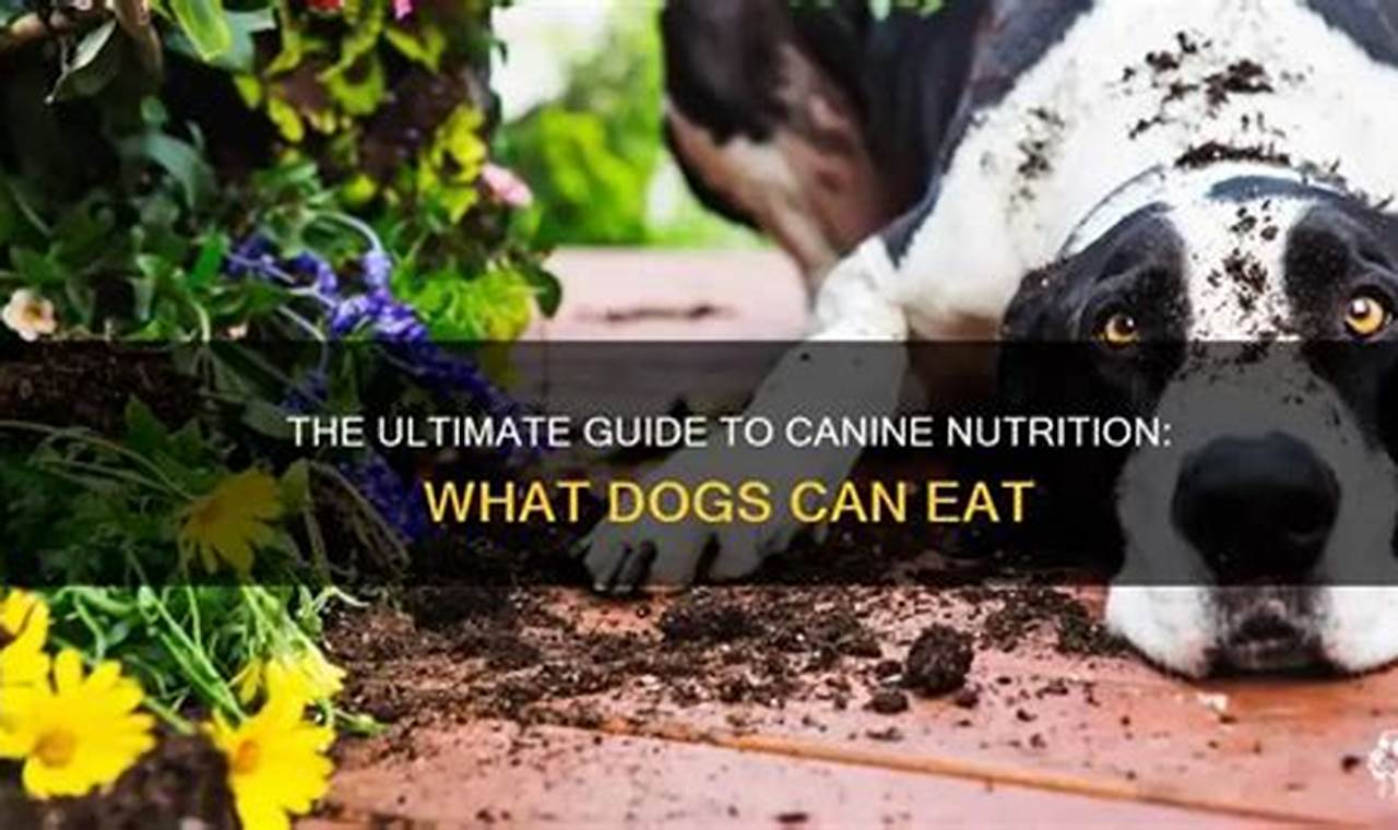 Unearthing History: Can Digs Basics My Caring Dog – Tips, Stories, and Care Guides for Loving Pet Owners Unearthing History: Can Digs Basics | My Caring Dog – Tips, Stories, and Care Guides for Loving Pet Owners