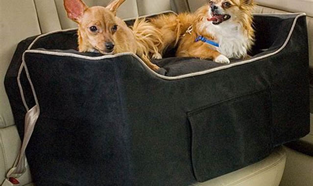 Best Dog Car Seats at Petco: Safe & Secure My Caring Dog – Tips, Stories, and Care Guides for Loving Pet Owners Best Dog Car Seats at Petco: Safe & Secure | My Caring Dog – Tips, Stories, and Care Guides for Loving Pet Owners