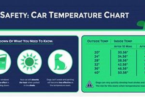 Car Temps For Dogs My Caring Dog – Tips, Stories, and Care Guides for Loving Pet Owners Car Temps For Dogs | My Caring Dog – Tips, Stories, and Care Guides for Loving Pet Owners