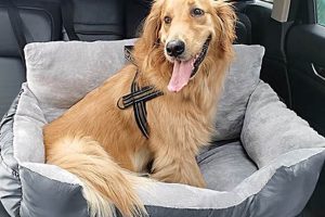 Best Bucket Dog Car Seats for Safe Travel My Caring Dog – Tips, Stories, and Care Guides for Loving Pet Owners Best Bucket Dog Car Seats for Safe Travel | My Caring Dog – Tips, Stories, and Care Guides for Loving Pet Owners