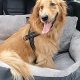 Best Bucket Dog Car Seats for Safe Travel | My Caring Dog – Tips, Stories, and Care Guides for Loving Pet Owners