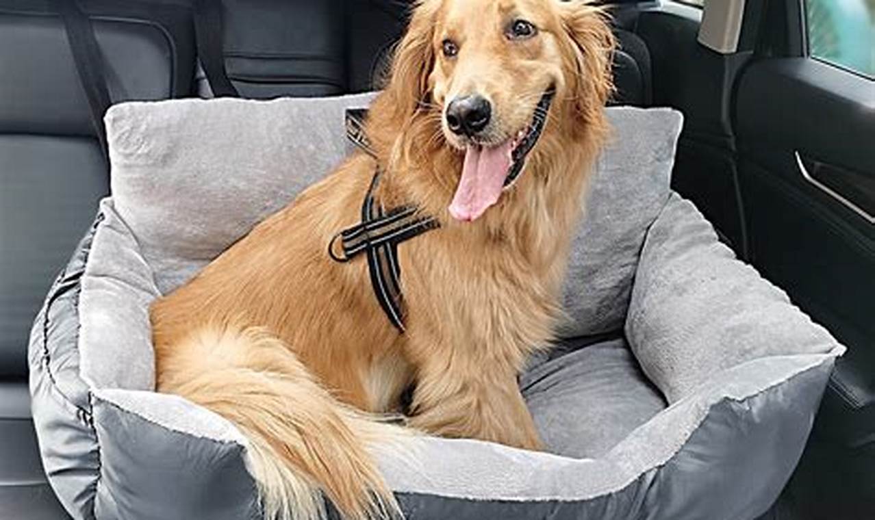 Best Bucket Dog Car Seats for Safe Travel My Caring Dog – Tips, Stories, and Care Guides for Loving Pet Owners Best Bucket Dog Car Seats for Safe Travel | My Caring Dog – Tips, Stories, and Care Guides for Loving Pet Owners