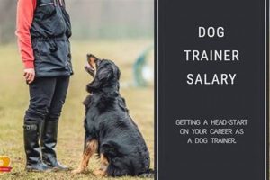 Dog Training Career Salary: A Comprehensive Guide | My Caring Dog – Tips, Stories, and Care Guides for Loving Pet Owners