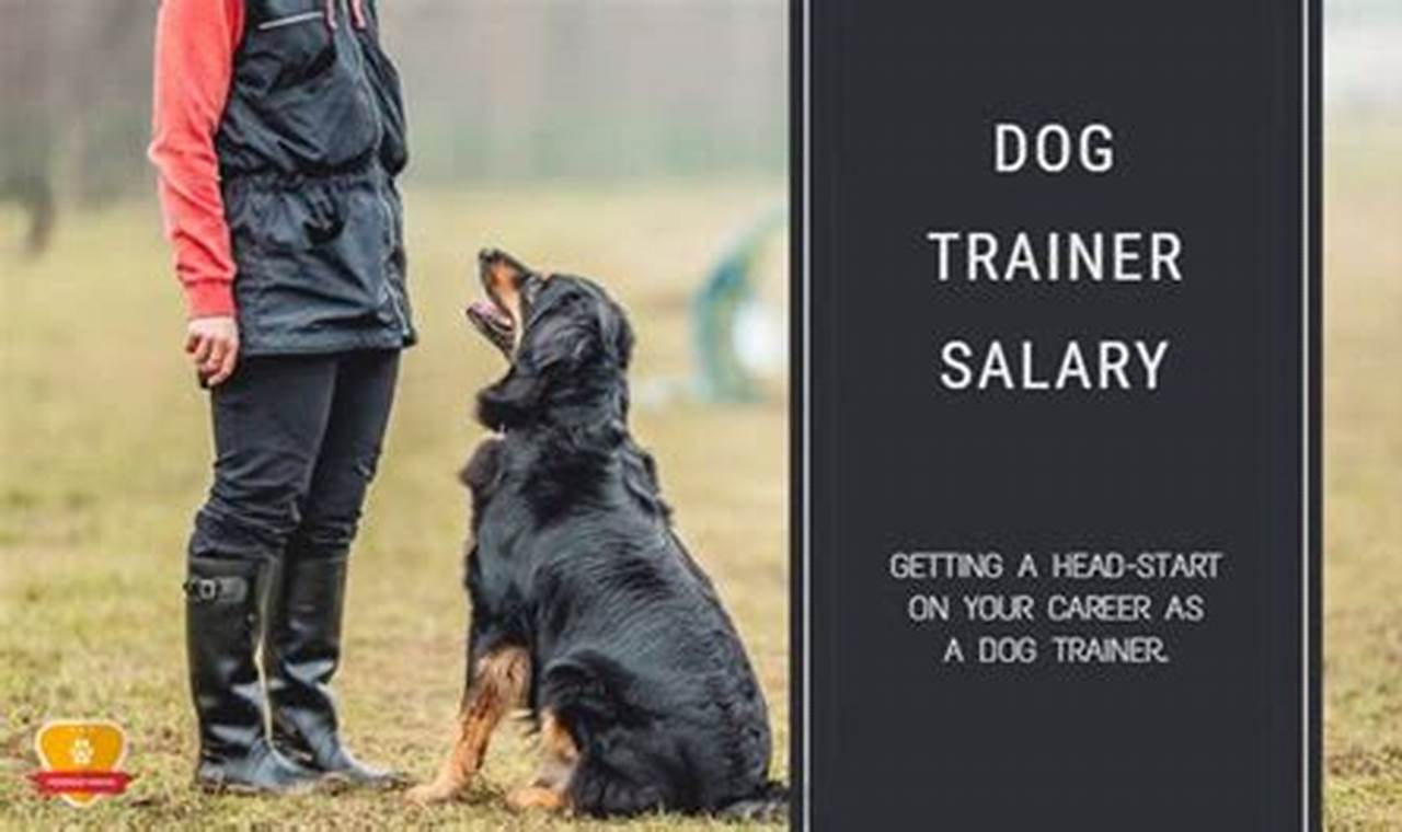 Dog Training Career Salary: A Comprehensive Guide My Caring Dog – Tips, Stories, and Care Guides for Loving Pet Owners Dog Training Career Salary: A Comprehensive Guide | My Caring Dog – Tips, Stories, and Care Guides for Loving Pet Owners