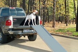 Top Dog Ramps for Cars & SUVs My Caring Dog – Tips, Stories, and Care Guides for Loving Pet Owners Top Dog Ramps for Cars & SUVs | My Caring Dog – Tips, Stories, and Care Guides for Loving Pet Owners