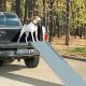 Top Dog Ramps for Cars & SUVs | My Caring Dog – Tips, Stories, and Care Guides for Loving Pet Owners