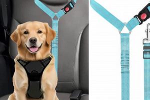 Best Dog Seatbelt Harnesses for Car Safety My Caring Dog – Tips, Stories, and Care Guides for Loving Pet Owners Best Dog Seatbelt Harnesses for Car Safety | My Caring Dog – Tips, Stories, and Care Guides for Loving Pet Owners