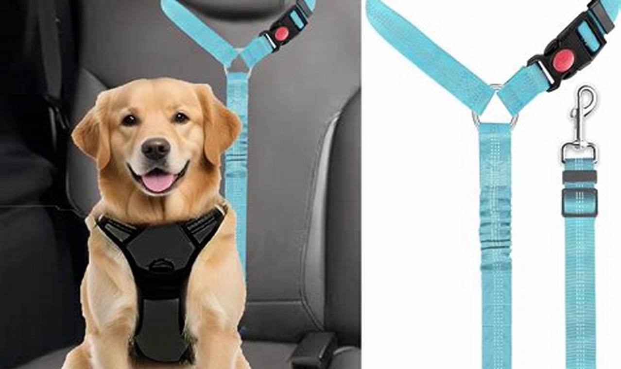 Best Dog Seatbelt Harnesses for Car Safety My Caring Dog – Tips, Stories, and Care Guides for Loving Pet Owners Best Dog Seatbelt Harnesses for Car Safety | My Caring Dog – Tips, Stories, and Care Guides for Loving Pet Owners