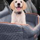 Best Dog Booster Car Seat For Small Dogs | My Caring Dog – Tips, Stories, and Care Guides for Loving Pet Owners