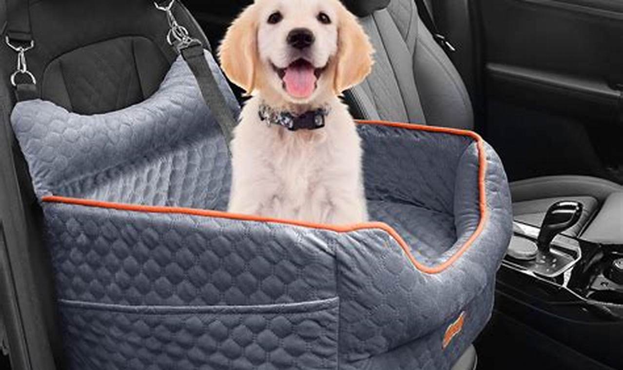 Best Dog Booster Car Seat For Small Dogs My Caring Dog – Tips, Stories, and Care Guides for Loving Pet Owners Best Dog Booster Car Seat For Small Dogs | My Caring Dog – Tips, Stories, and Care Guides for Loving Pet Owners