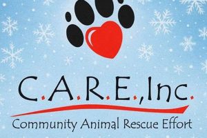 C.A.R.E. Rescue: Car Dog Safety & Saving Lives My Caring Dog – Tips, Stories, and Care Guides for Loving Pet Owners C.A.R.E. Rescue: Car Dog Safety & Saving Lives | My Caring Dog – Tips, Stories, and Care Guides for Loving Pet Owners