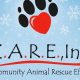 C.A.R.E. Rescue: Car Dog Safety & Saving Lives | My Caring Dog – Tips, Stories, and Care Guides for Loving Pet Owners