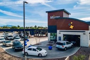 Best Mister Car Wash Dog Wash: Guide & Tips My Caring Dog – Tips, Stories, and Care Guides for Loving Pet Owners Best Mister Car Wash Dog Wash: Guide & Tips | My Caring Dog – Tips, Stories, and Care Guides for Loving Pet Owners