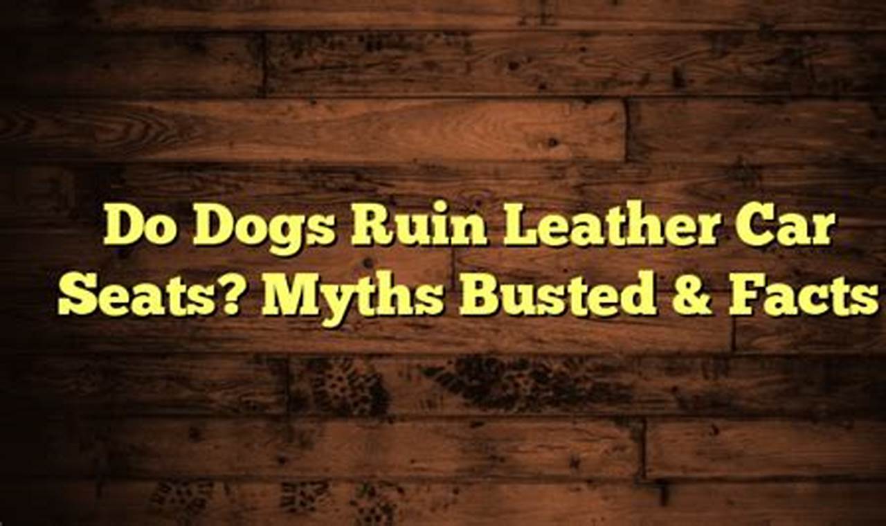 Can Dogs Ruin Leather Car Seats? The Ultimate Guide My Caring Dog – Tips, Stories, and Care Guides for Loving Pet Owners Can Dogs Ruin Leather Car Seats? The Ultimate Guide | My Caring Dog – Tips, Stories, and Care Guides for Loving Pet Owners