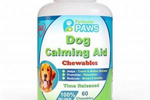 Best Meds for Dog Car Anxiety: Safe Travel Tips My Caring Dog – Tips, Stories, and Care Guides for Loving Pet Owners Best Meds for Dog Car Anxiety: Safe Travel Tips | My Caring Dog – Tips, Stories, and Care Guides for Loving Pet Owners