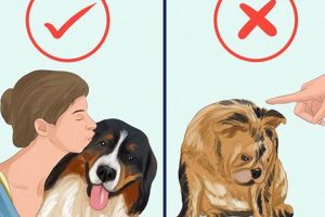 The Working Dog Owner's Guide: Top Care Tips My Caring Dog – Tips, Stories, and Care Guides for Loving Pet Owners The Working Dog Owner's Guide: Top Care Tips | My Caring Dog – Tips, Stories, and Care Guides for Loving Pet Owners
