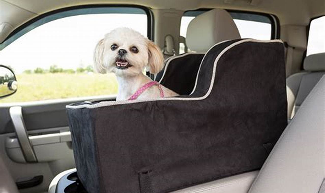 Top Console Dog Car Seats for Safe Travels My Caring Dog – Tips, Stories, and Care Guides for Loving Pet Owners Top Console Dog Car Seats for Safe Travels | My Caring Dog – Tips, Stories, and Care Guides for Loving Pet Owners