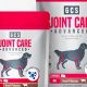 Best Joint Care for Dogs: Guide & Tips | My Caring Dog – Tips, Stories, and Care Guides for Loving Pet Owners