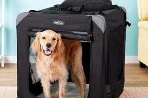 Air Conditioned Dog Crate For Car My Caring Dog – Tips, Stories, and Care Guides for Loving Pet Owners Air Conditioned Dog Crate For Car | My Caring Dog – Tips, Stories, and Care Guides for Loving Pet Owners