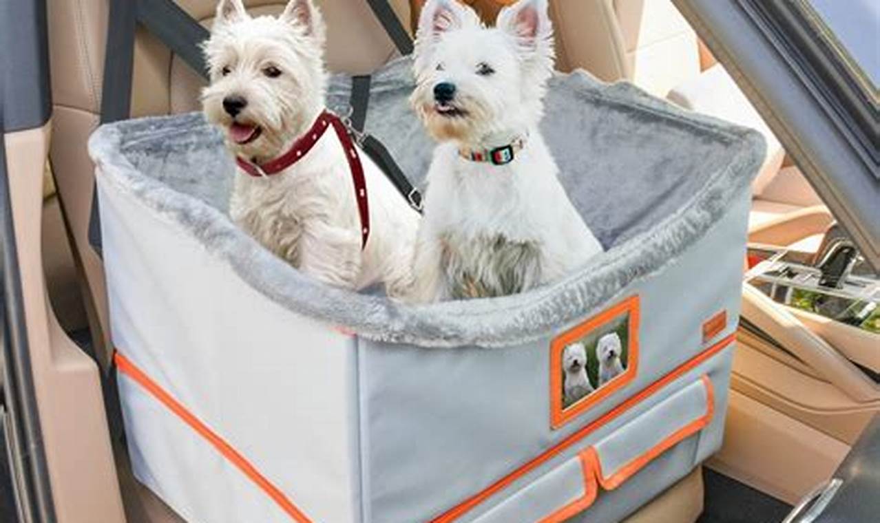 Safe Dog Car Seat Installation Guide & Tips My Caring Dog – Tips, Stories, and Care Guides for Loving Pet Owners Safe Dog Car Seat Installation Guide & Tips | My Caring Dog – Tips, Stories, and Care Guides for Loving Pet Owners