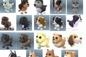 My Car Dog: Best Friend for Adventures My Caring Dog – Tips, Stories, and Care Guides for Loving Pet Owners My Car Dog: Best Friend for Adventures | My Caring Dog – Tips, Stories, and Care Guides for Loving Pet Owners