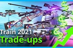 Profit Train My Caring Dog – Tips, Stories, and Care Guides for Loving Pet Owners Profit Train | My Caring Dog – Tips, Stories, and Care Guides for Loving Pet Owners