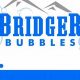 Best Bridger Bubbles Car & Dog Wash in Town | My Caring Dog – Tips, Stories, and Care Guides for Loving Pet Owners