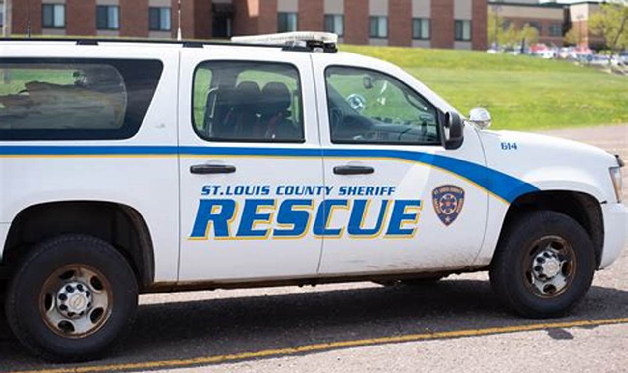 Car Dog Rescue: St. Louis Adoption Guide | My Caring Dog – Tips, Stories, and Care Guides for Loving Pet Owners