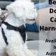 Top Dog Car Harnesses Australia 2023 | My Caring Dog – Tips, Stories, and Care Guides for Loving Pet Owners
