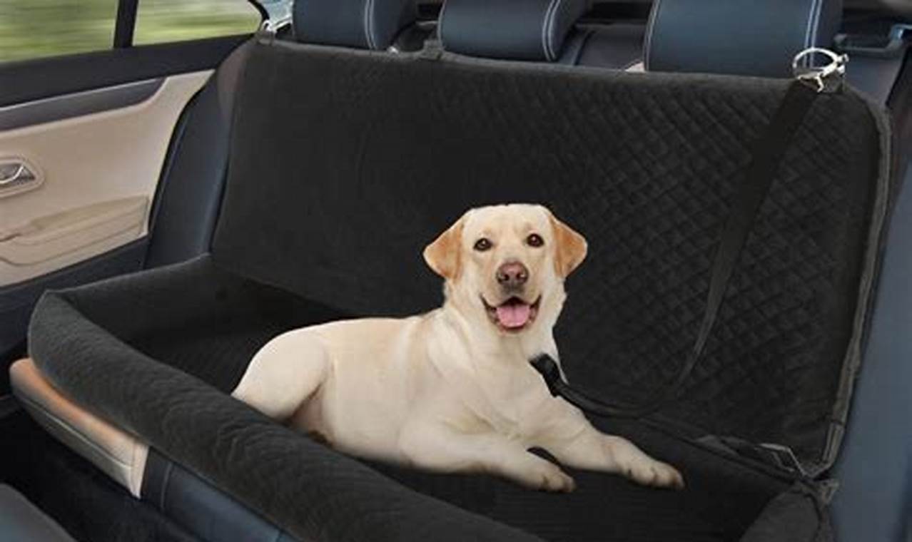 Best Dog Beds for Car Back Seats UK (2024) | My Caring Dog – Tips, Stories, and Care Guides for Loving Pet Owners