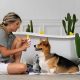 Pet Dog At Home | My Caring Dog – Tips, Stories, and Care Guides for Loving Pet Owners
