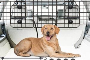 Top Dog Car Barriers: Ultimate Safety Guide | My Caring Dog – Tips, Stories, and Care Guides for Loving Pet Owners